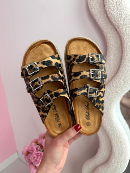 Liora Leo Slides