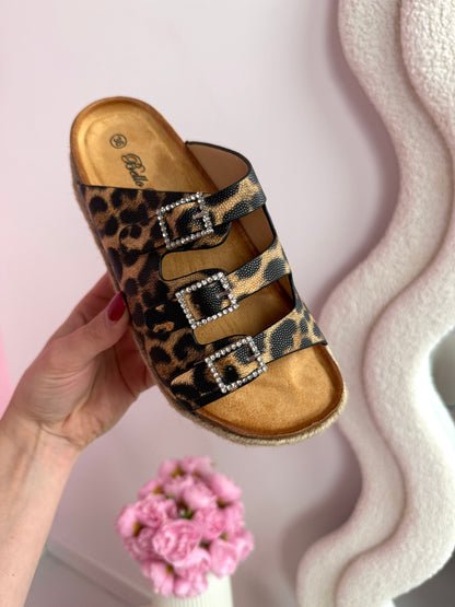 Liora Leo Slides