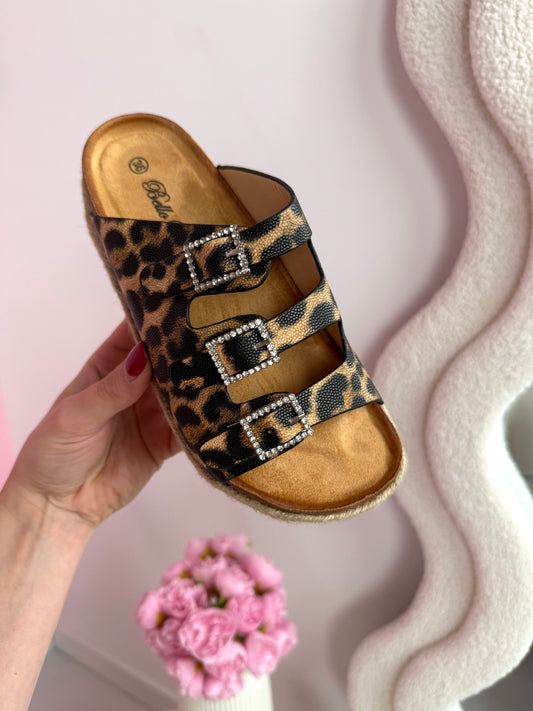 Liora Leo Slides