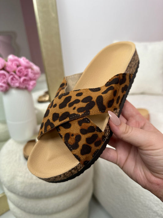 Gleam 2004 Leo Print Slides